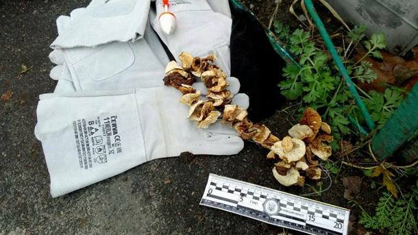 Житель Украины пытался вывезти из Чернобыльской зоны радиоактивные грибы
